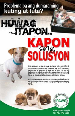 SPAY/NEUTER: Benefits - Philippine Animal Welfare Society (PAWS) -  FREQUENTLY ASKED QUESTIONS (FAQS)