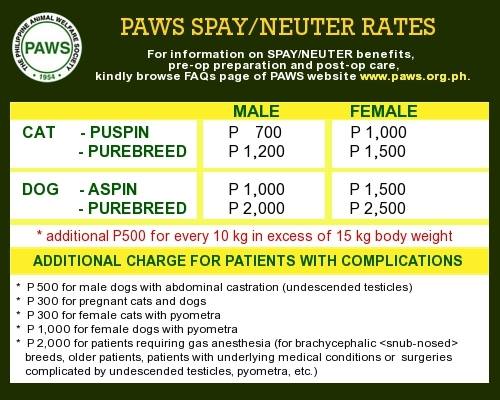 SPAY/NEUTER What to expect / How much? Philippine Animal Welfare