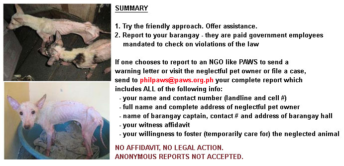 WHAT TO DO WHEN YOU SEE PET NEGLECT - Philippine Animal Welfare Society  (PAWS) - FREQUENTLY ASKED QUESTIONS (FAQS)