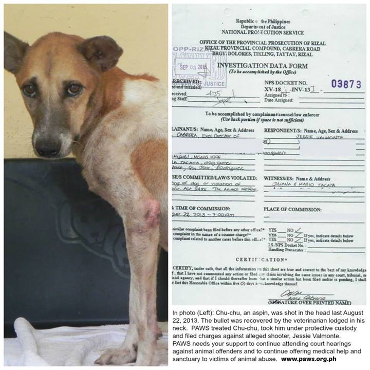 How To Report Cruelty + Calling 117 - Philippine Animal Welfare Society  (PAWS) - FREQUENTLY ASKED QUESTIONS (FAQS)