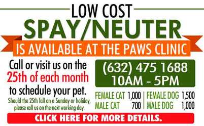 cat check up cost near me