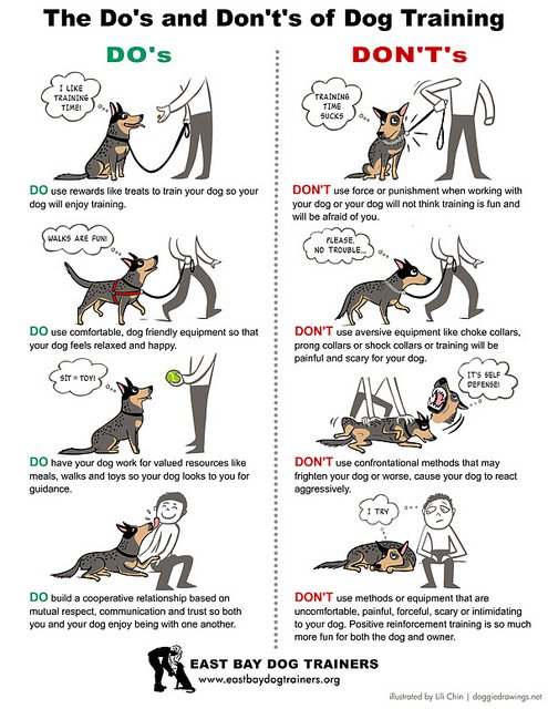 BEHAVIOR AND TRAINING: My dog has biting/aggressive problems, etc? What ...